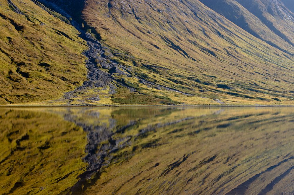 Autumn-Gold-1,-Glen-Etive,-Scotland