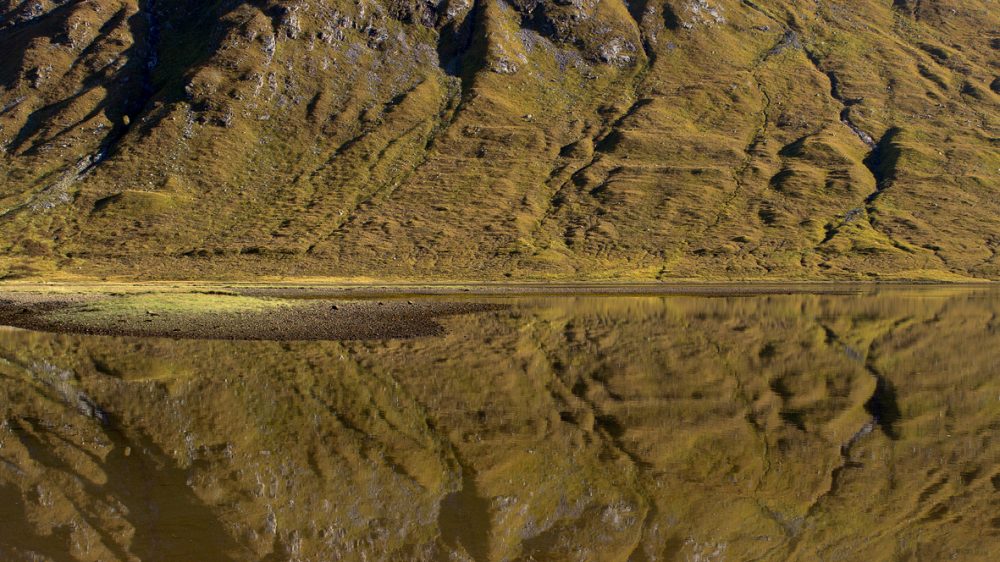 Autumn-Gold-2,-Glen-Etive,-Scotland