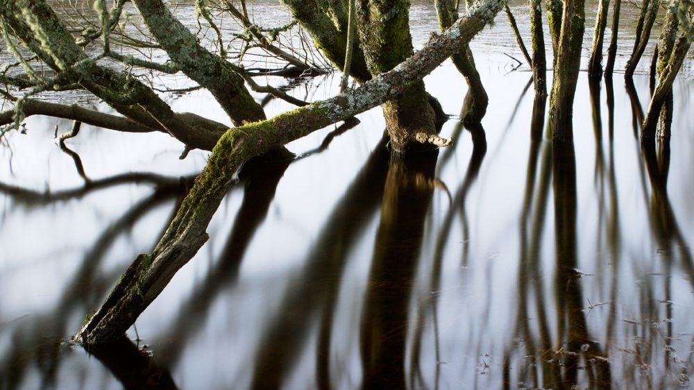 Silent-Sleepers-1,-Ayrshire,-Scotland